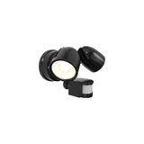 Zeker CCT Security Light PIR Black