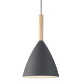 Pure 20 | Pendant | Grey