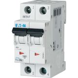 Miniature circuit breaker (MCB), 6 A, 2p, characteristic: B