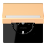 SCHUKO socket, with hinged lid, with ins LC1520BFNAKL258