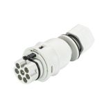 DEVICE CONNECTOR RST20I7C S1 M13V GL