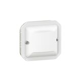 Universal waterproof IP55 Plexo wall detector with infrared detection 2 wires without neutral 100W LED with transparent bezel