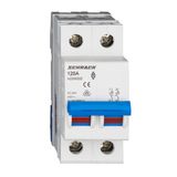 Main Load-Break Switch (Isolator) 125A, 2-pole