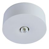 Emerg.lum.IL1x3W ERT-LED 3h 230V AC Self C.spot surface m.