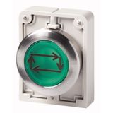 Illuminated pushbutton actuator, RMQ-Titan, Flat, momentary, green, inscribed, Metal bezel