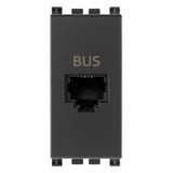 BUS RJ11phone jack grey