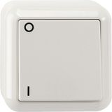 Off switch, 2-pole, polar white, surface-mounted