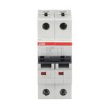 ST202M-K3 Miniature Circuit Breaker - 2P - K - 3 A