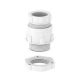 106+PG21 MG LGR Cone cable gland, PG thread, light grey