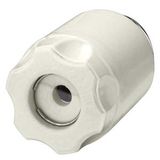 DIAZED screw cap DIII 63 A 690V AC 600V DC ceramic