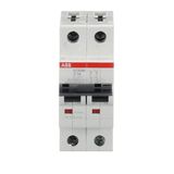 ST202M-Z1 Miniature Circuit Breaker - 2P - Z - 1 A