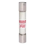 Fuse AG - Class G 480VAC 60A Time Delay Ferrule