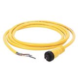 Allen-Bradley, 889N-F5AE-6F, Mini/Mini Plus, Female, Straight, 5-Pin, PVC Cable, Yellow, Unshielded, IEC Color Coded, No Connector, 6 feet (1.83 meters)