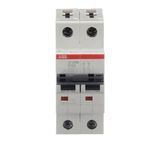 ST202M-K6 Miniature Circuit Breaker - 2P - K - 6 A