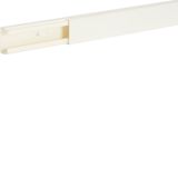 Trunking 20035,pure white