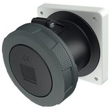 Receptacle TA, 125A4p 7H500V  IP67