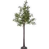 Decorative Tree Olivec