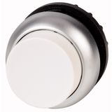 Pushbutton, RMQ-Titan, Extended, momentary, White, Blank, Bezel: titanium