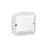 IP55 Plexo Waterproof 3-Wire Infrared Sensing Universal Wall Detector with Neutral 500W LED with Clear Trim