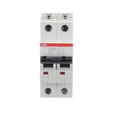 ST202M-K16 Miniature Circuit Breaker - 2P - K - 16 A