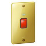 Synergy™ Authentic - double pole switch+blue led power indicator-2G vertical plate-45A-Glossy gold