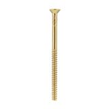 Standard screw for Art d'Arnould plates, Memory gold universe