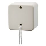 Pullcord switch off/change-over surface-mtd, surface-mtd, white glossy