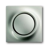 1786-79 CoverPlates (partly incl. Insert) carat® Champagne metallic