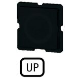 Button plate for push-button, Inscription: UP, 25 x 25