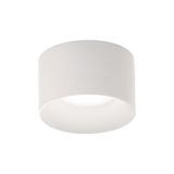 Ceiling Spot Light White Fibo