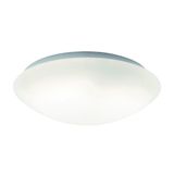 Ceiling Lamp D:300 Disk