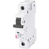 Miniature circuit breaker, ETIMAT 10 1p D40