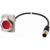 Illuminated pushbutton actuator, Flat, momentary, 1 NC, Cable (black) with M12A plug, 4 pole, 1 m, LED Red, red, Blank, 24 V AC/DC, Metal bezel