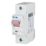 Miniature circuit breaker (MCB), 32A, 1p, B-Char, AC