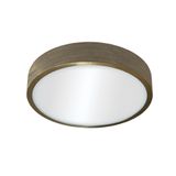 Kaju Surface Mounted LED Downlight RD 30W Brass