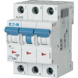 Miniature circuit breaker (MCB), 20 A, 3p, characteristic: C