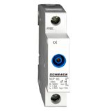 Neutral Conductor Feed-through Module + Test terminal, 63A