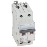 DX³6000 10kA high inlet and low outlet 2P screw circuit breaker 230V~ to 400V~ - 50A - D curve - 2 modules