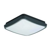 Ceiling Lamp L:220x220 Tibuok