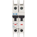 Miniature circuit breaker (MCB), 32 A, 2p, characteristic: C