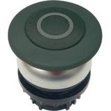 Mushroom actuator, RMQ-Titan, Mushroom, maintained, Mushroom black, black, inscribed, Bezel: titanium