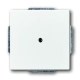 1742-84-500 CoverPlates (partly incl. Insert) future®, Busch-axcent®, solo®; carat® Studio white