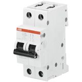 S202-K15 Miniature Circuit Breaker - 2P - K - 15 A