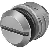 PRSV-1/8 Sealing plug