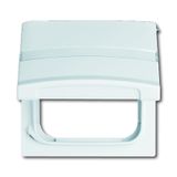 2118 GKN-32 CoverPlates (partly incl. Insert) Flush-mounted, water-protected, special connecting devices White