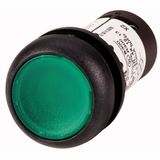 Illuminated pushbutton actuator, Flat, momentary, 1 N/O, Screw connection, LED green, green, Blank, 120 V AC, Bezel: black