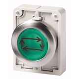 Illuminated pushbutton actuator, Flat Front (drilling dimensions 30.5 mm), flat, momentary, green, inscribed, Front ring stainless steel