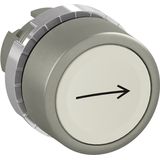 P9MPNBG006 Pushbutton