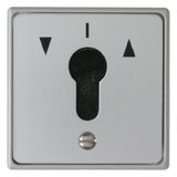 Push-button f. blinds 1pole flush-mtd f. lock cylinder, neut.pos., Die