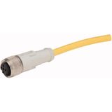 Connection cable, 4p, AC, coupling M12 flat, open end, L=10m